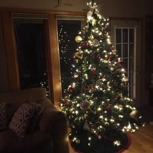 Meet your Posher, Karyn